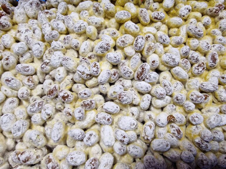 Koji by ORIENTAL SPECIALTY LTD.