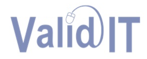 The Valid IT logo